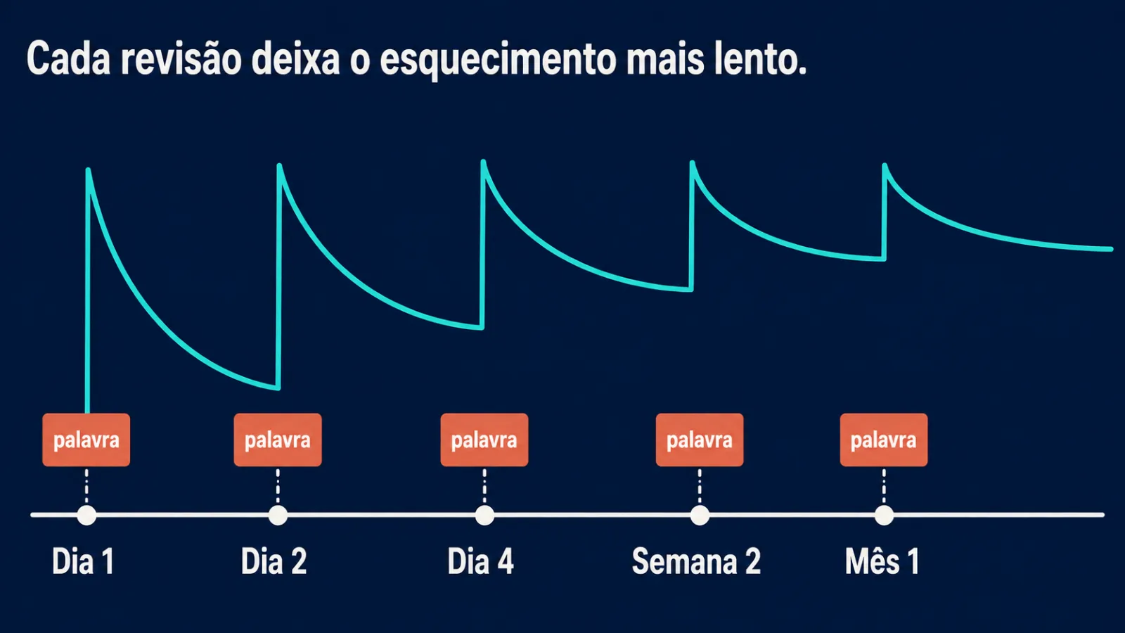 Cronograma de revisões: como os intervalos desaceleram o esquecimento