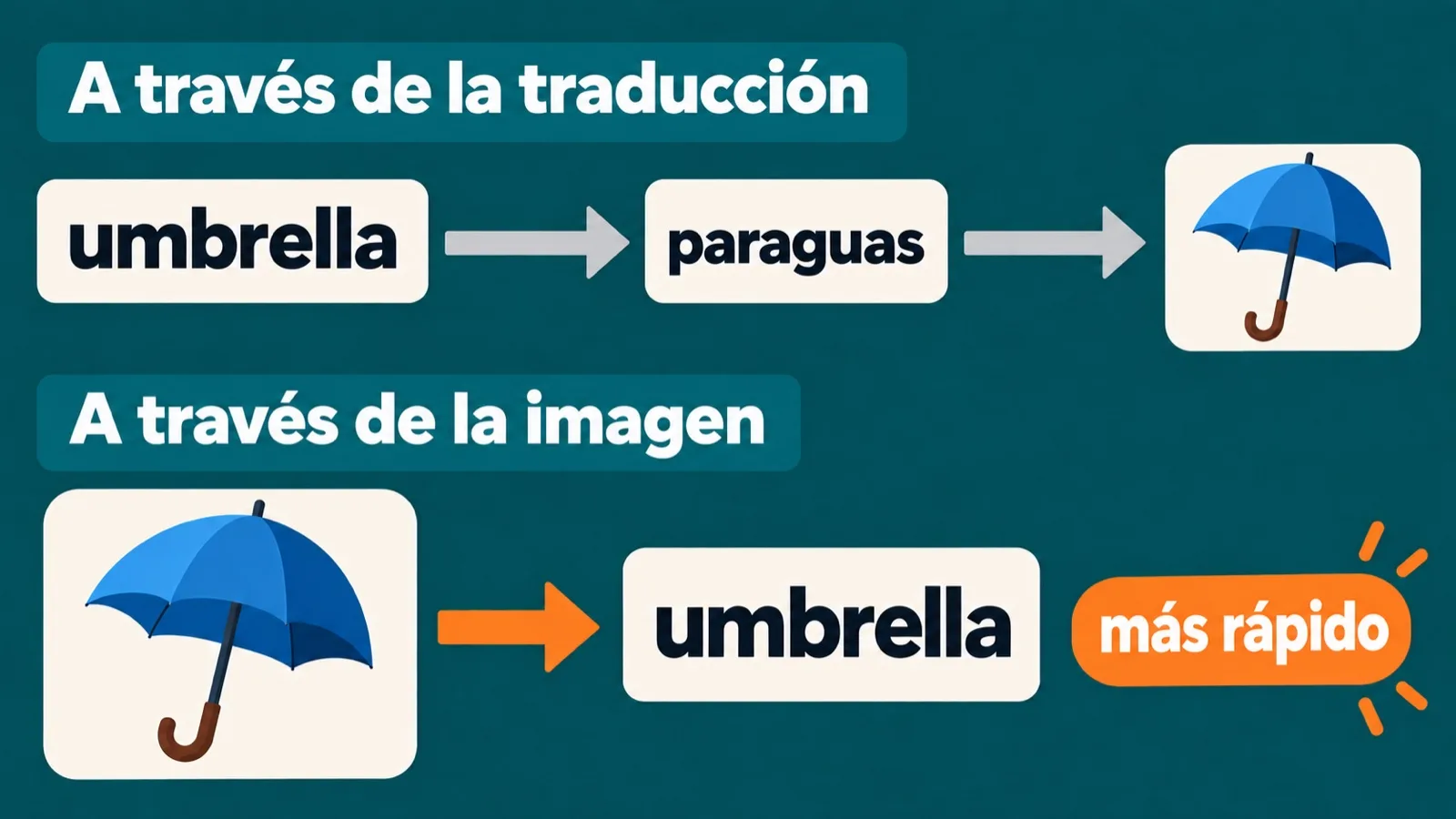 La palabra a través de la traducción y a través de la imagen: umbrella