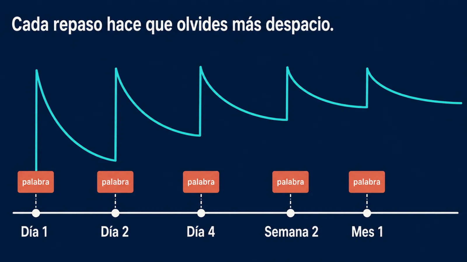 Calendario de repasos: cómo los intervalos frenan el olvido