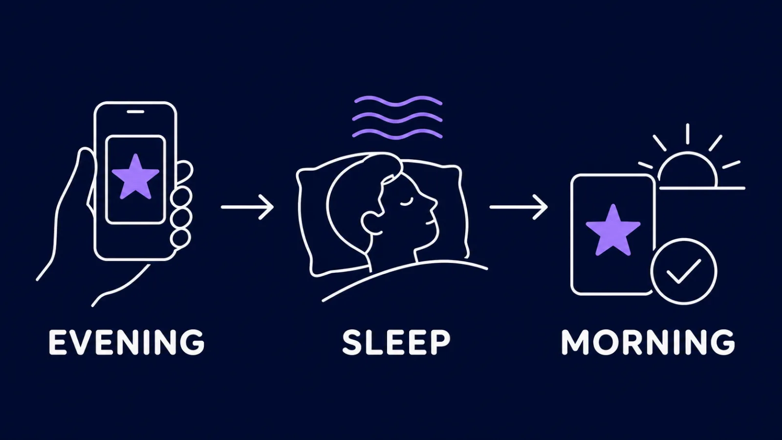 Diagram: evening review, consolidation during the night, morning check