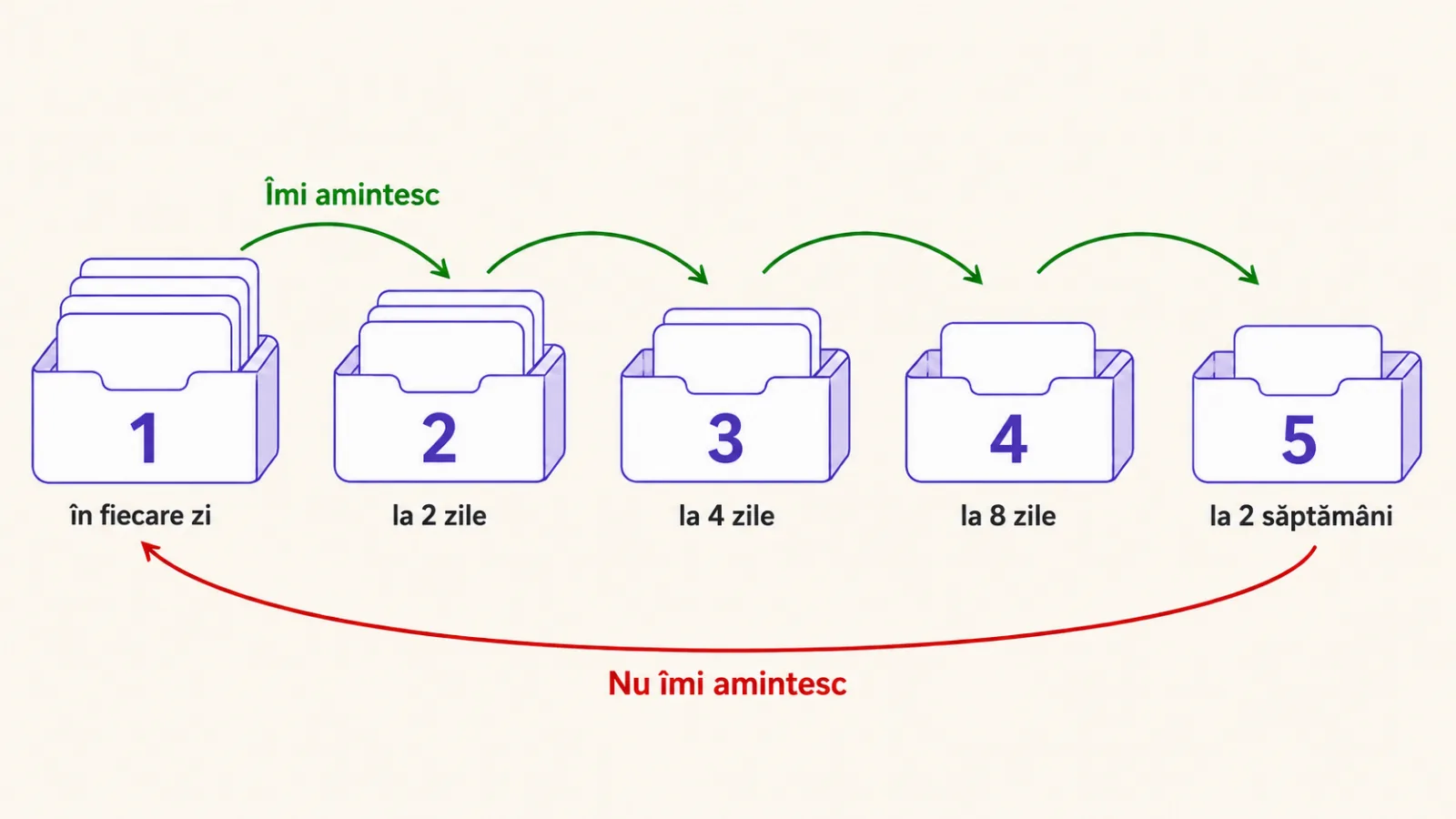 Sistemul Leitner: cinci compartimente cu intervale de repetare