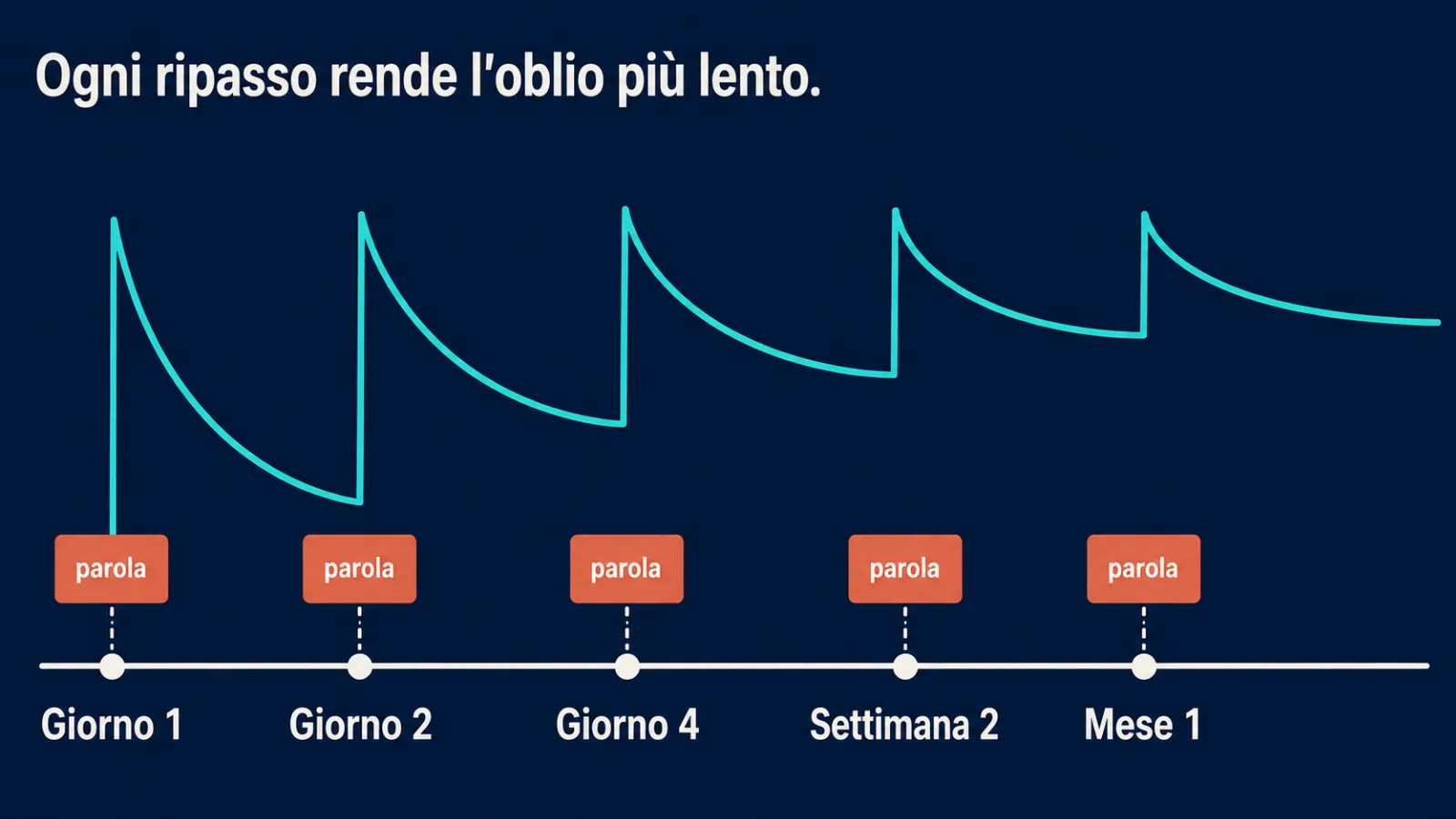 Calendario dei ripassi: come gli intervalli rallentano l'oblio