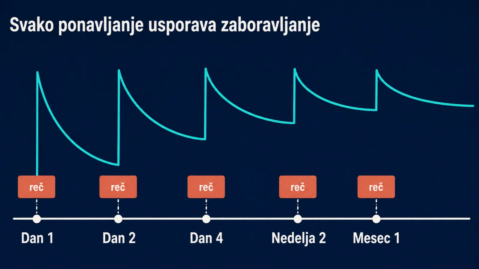 Raspored ponavljanja: kako intervali usporavaju zaboravljanje