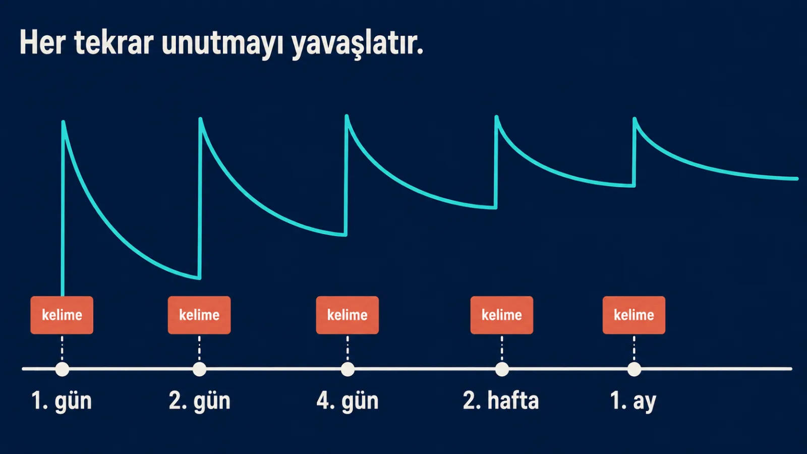 Tekrar takvimi: aralıklar unutmayı nasıl yavaşlatır