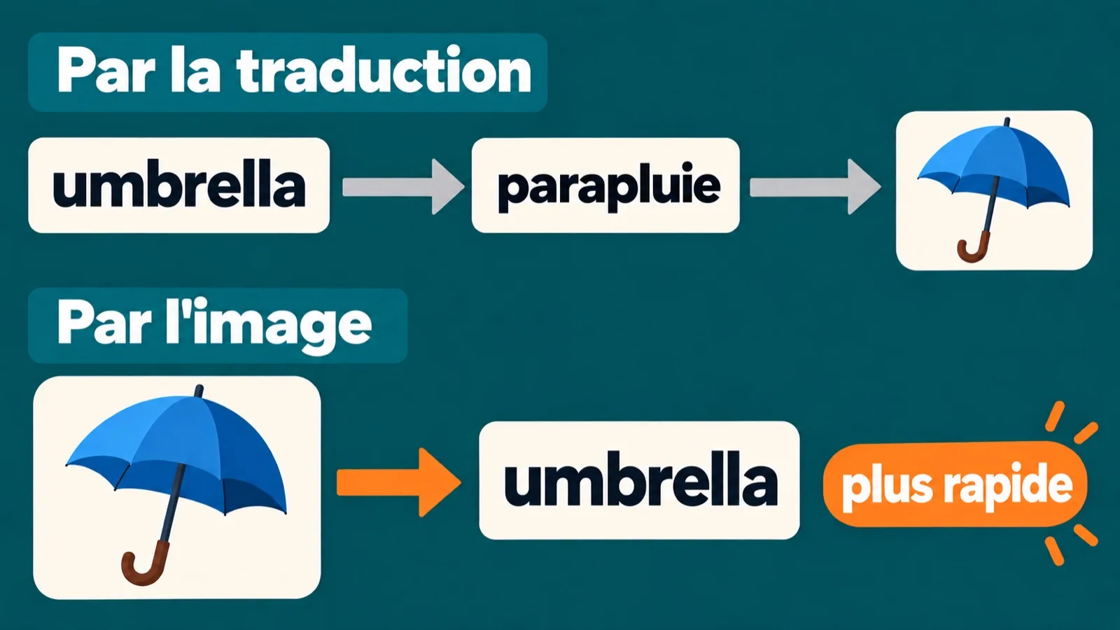 Un mot par la traduction et par l'image : umbrella
