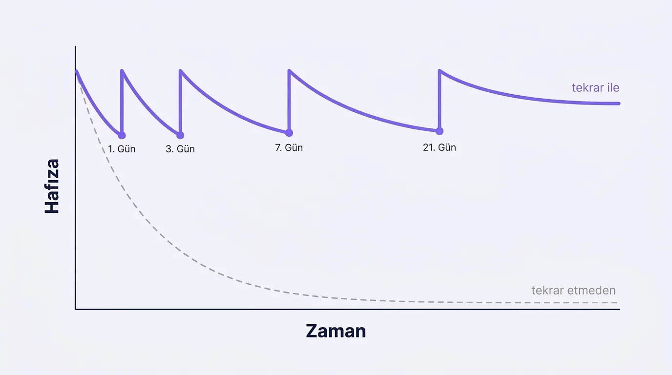 Hafıza grafiği: tekrar olmadan eğri hızla düşer; 1., 3., 7. ve 21. günlerdeki tekrarlarla yüksek kalır