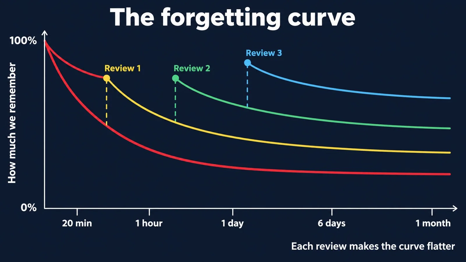 The Ebbinghaus forgetting curve and how each review makes it flatter
