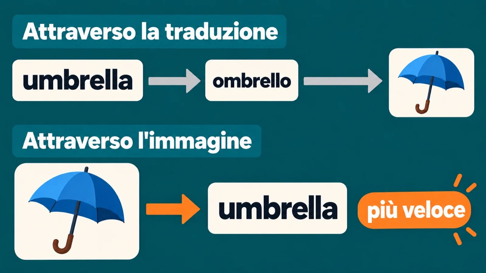 La parola attraverso la traduzione e attraverso l'immagine: umbrella