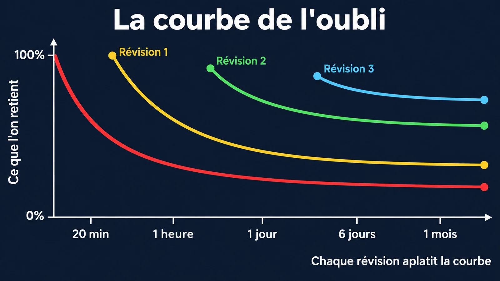La courbe de l'oubli d'Ebbinghaus et comment chaque révision l'aplatit
