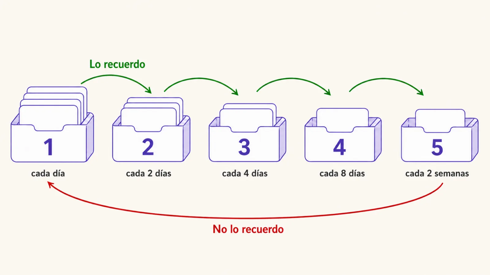 El sistema Leitner: cinco compartimentos con intervalos de repaso