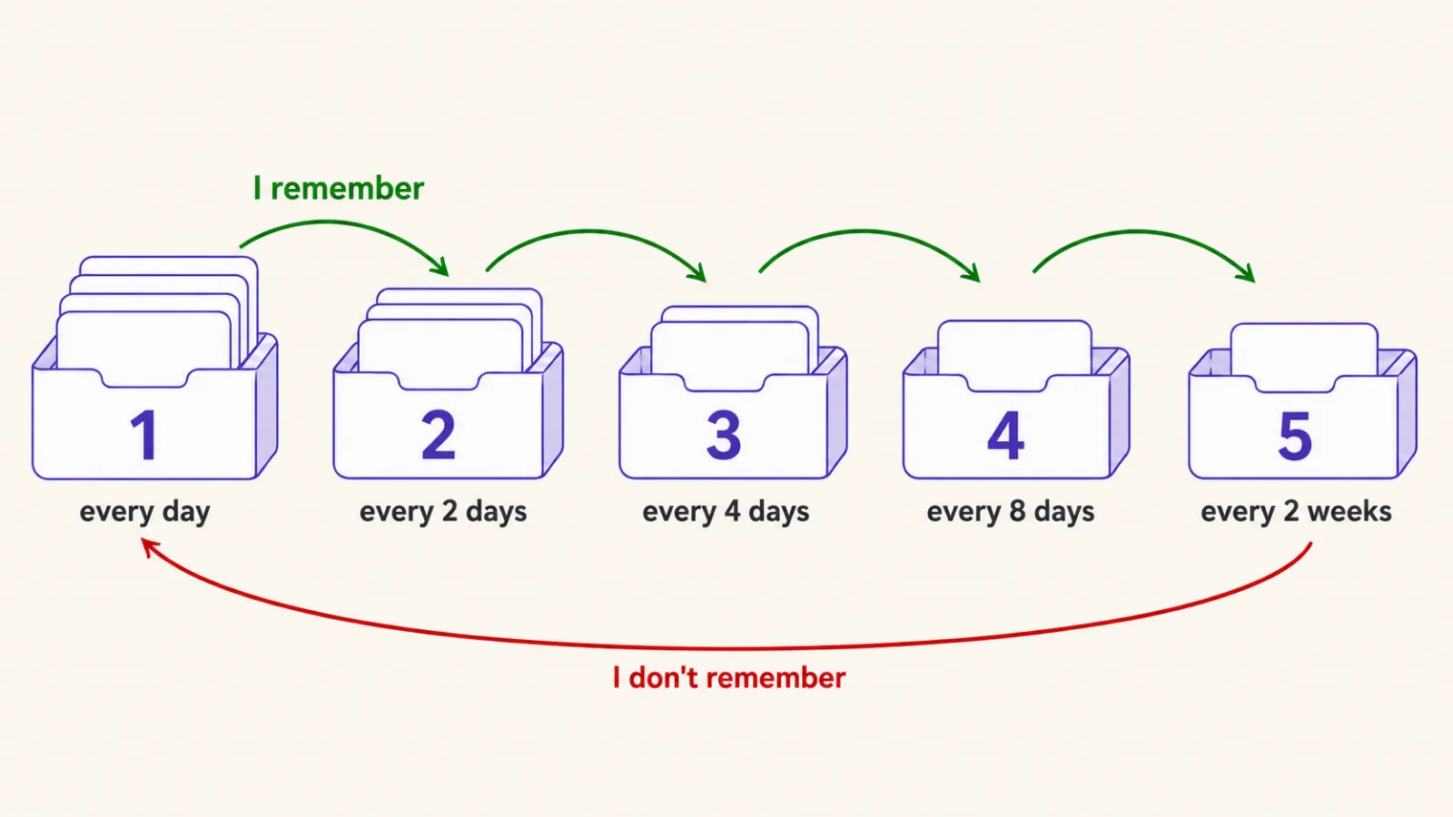 The Leitner system: five compartments with review intervals