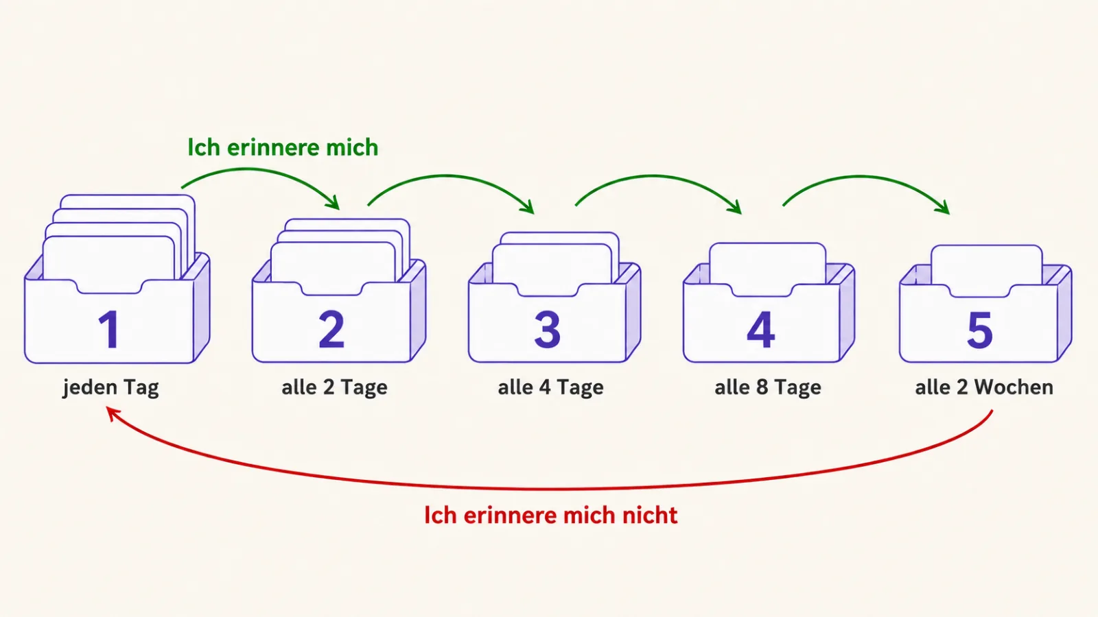 Das Leitner-System: fünf Fächer mit Wiederholungsintervallen