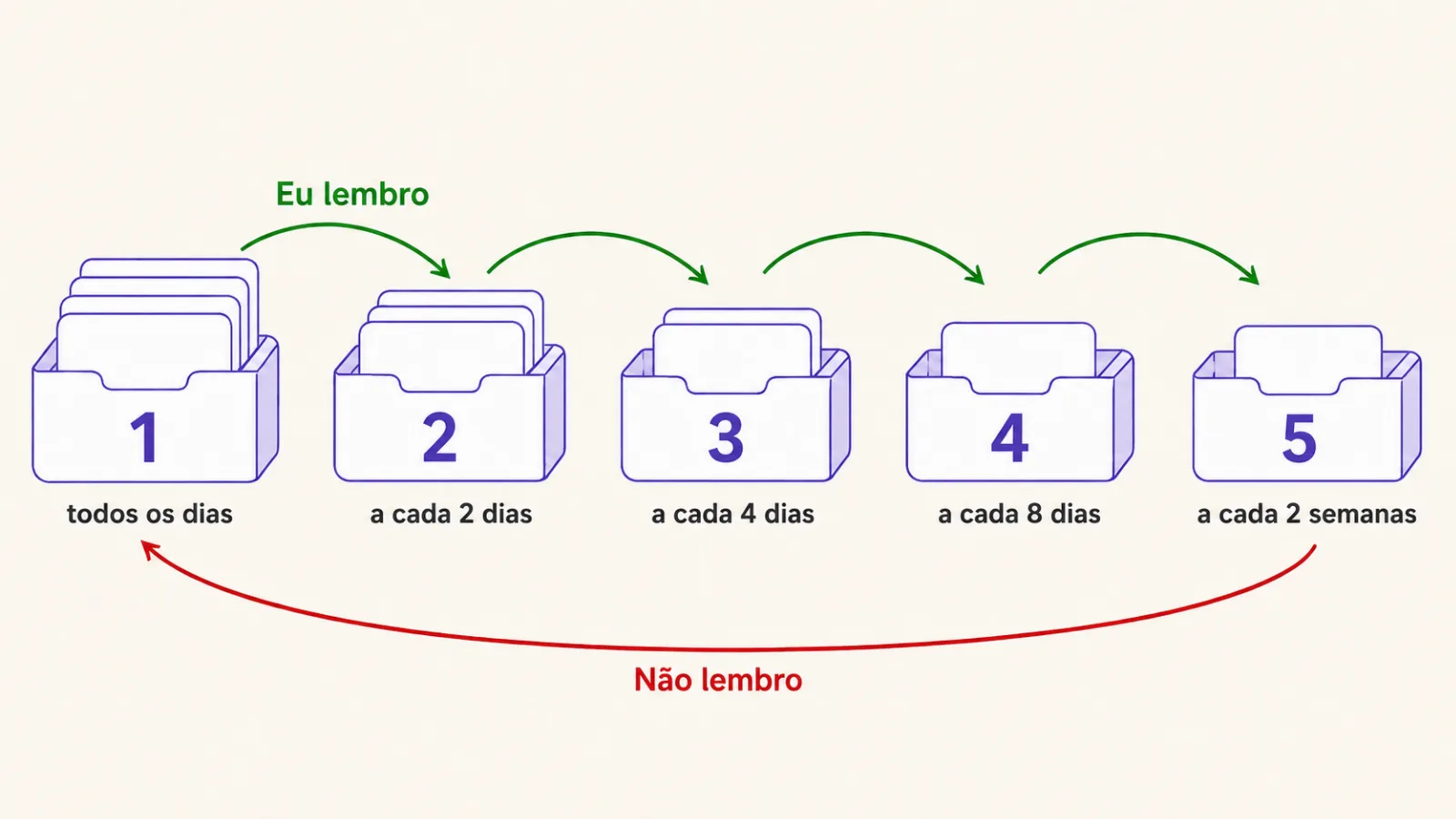 O sistema Leitner: cinco compartimentos com intervalos de revisão