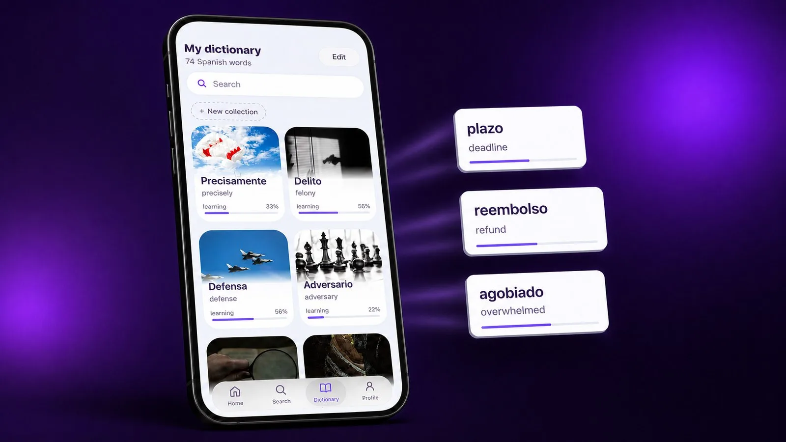 Personal dictionary screen with word collections in the VibeLing app