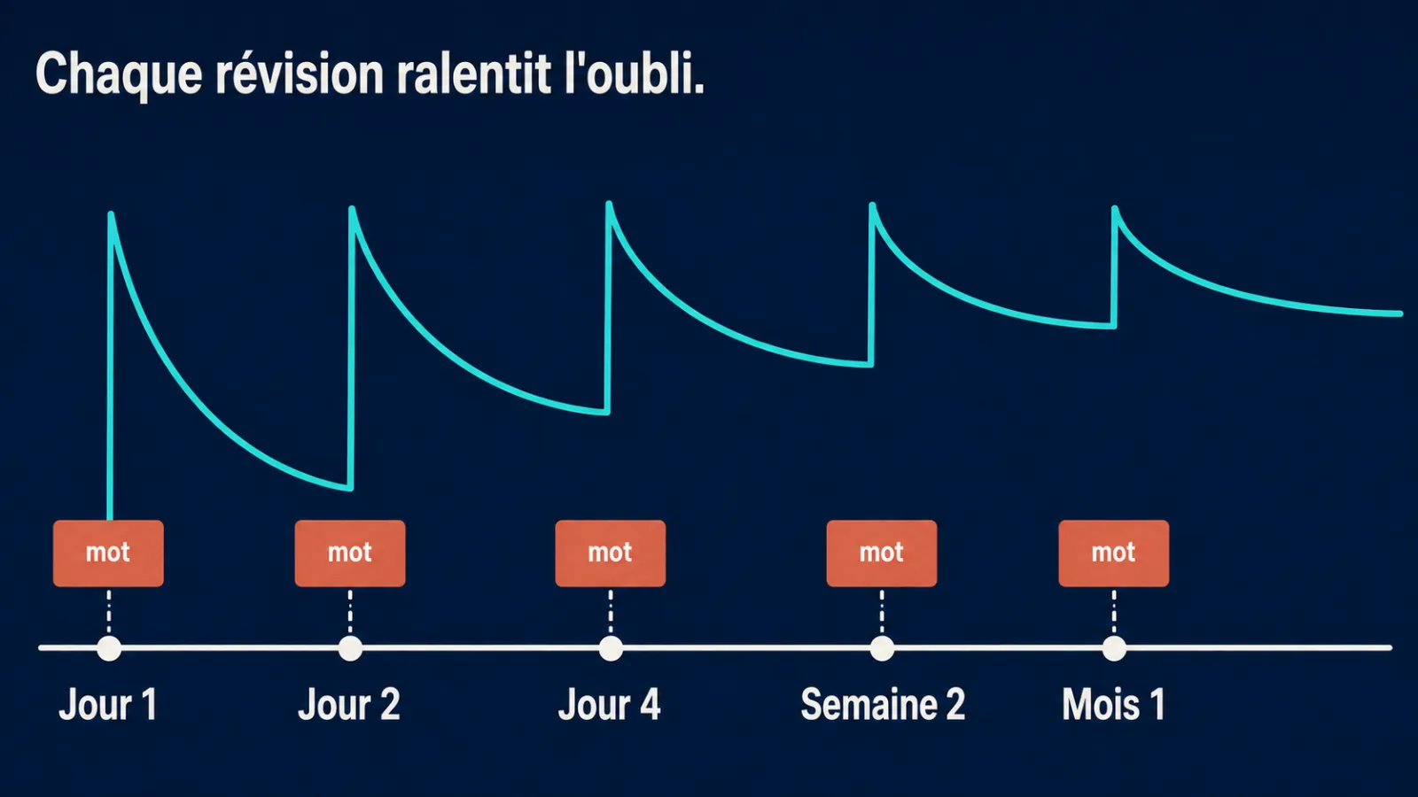 Calendrier de révisions : comment les intervalles ralentissent l'oubli