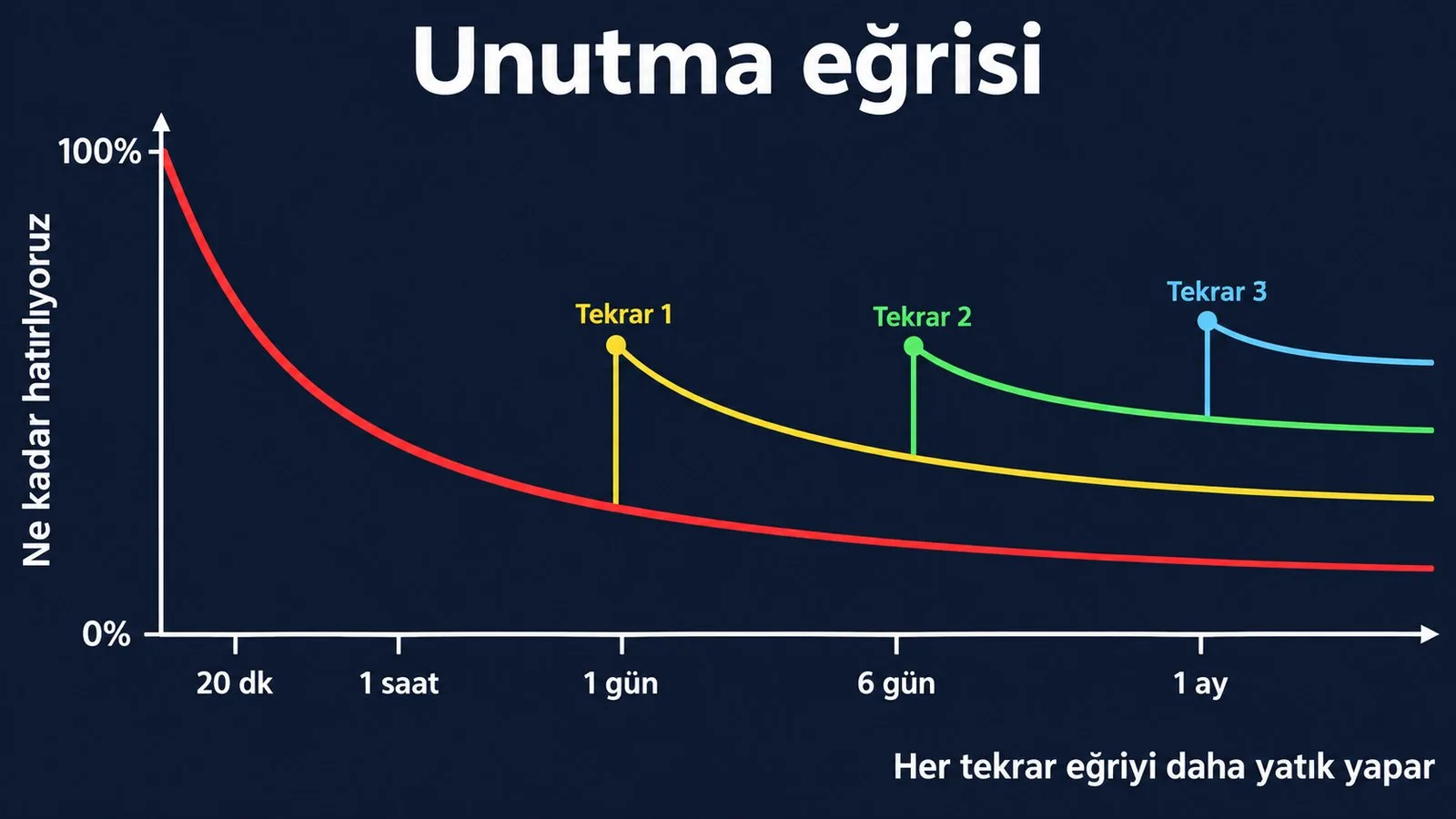 Ebbinghaus'un unutma eğrisi ve her tekrarın onu nasıl yatıklaştırdığı