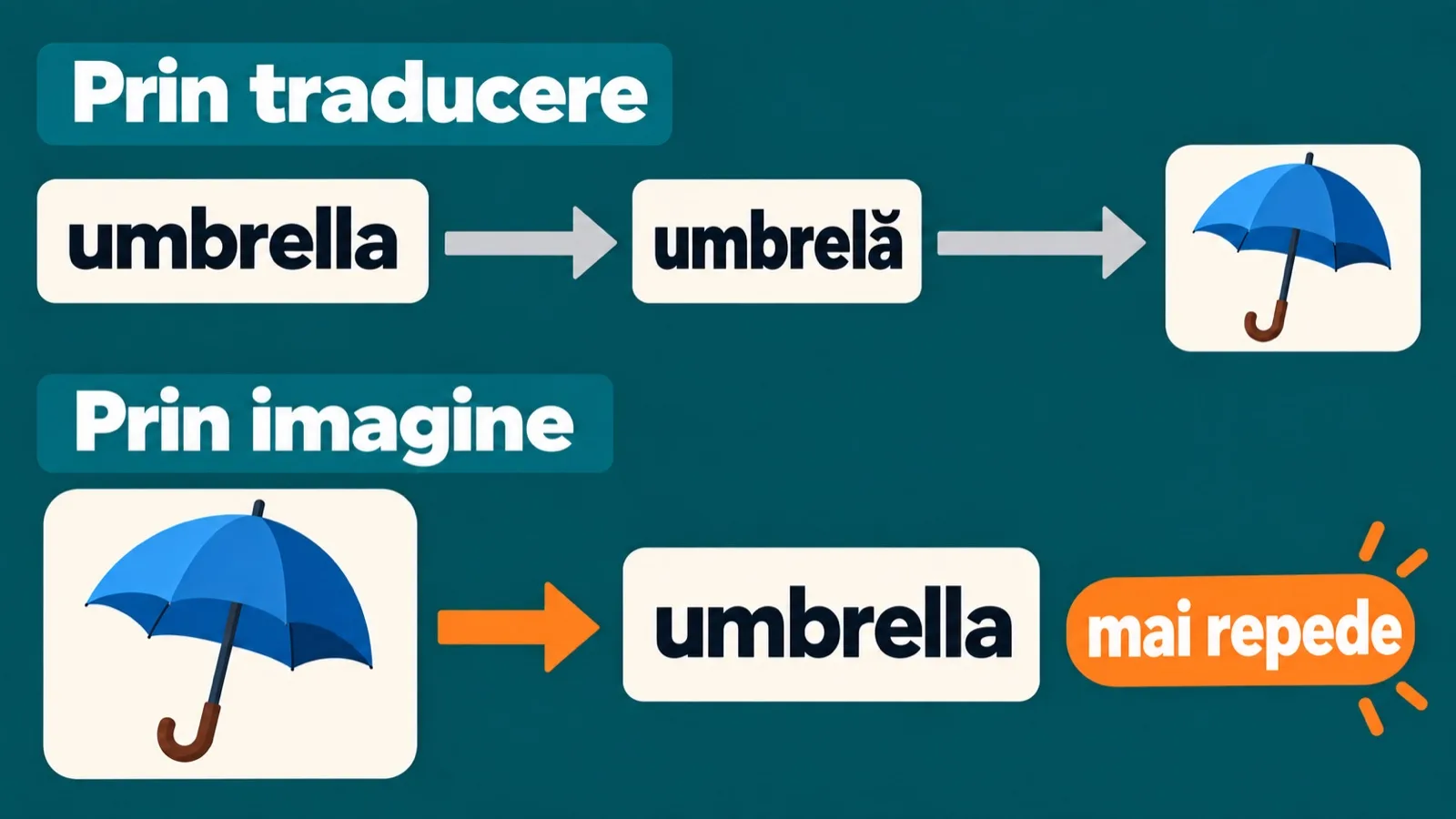 Cuvântul prin traducere și prin imagine: umbrella