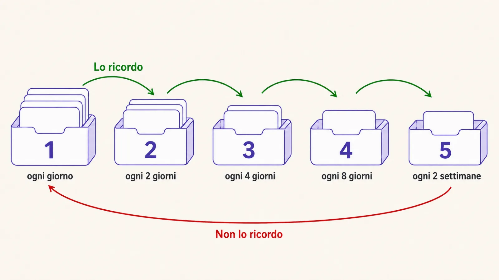 Il sistema Leitner: cinque scomparti con gli intervalli di ripasso