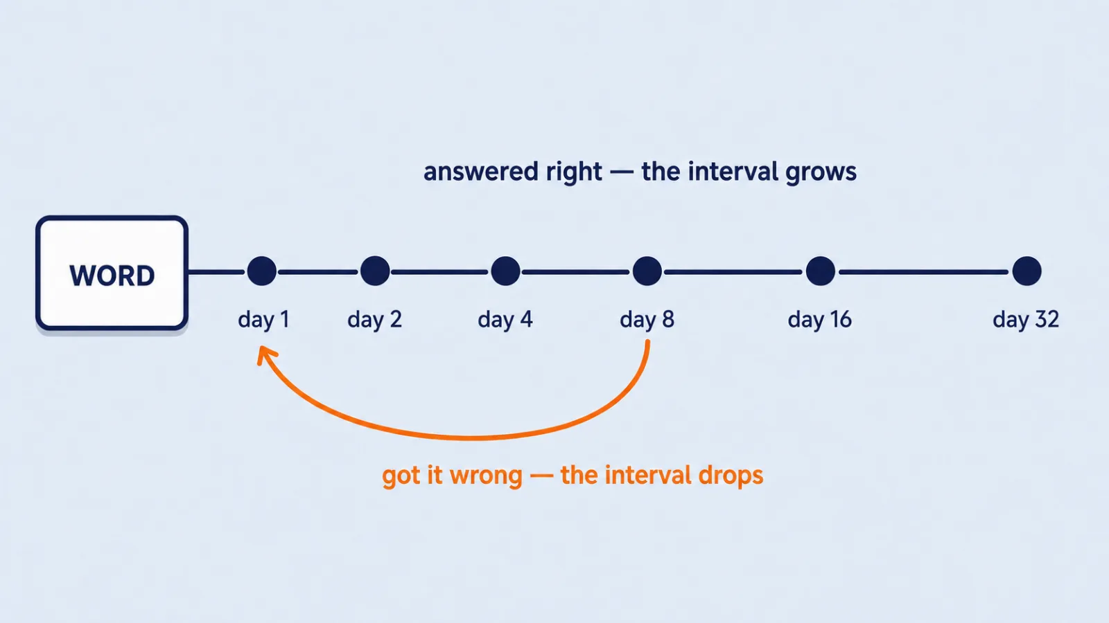 growing review intervals