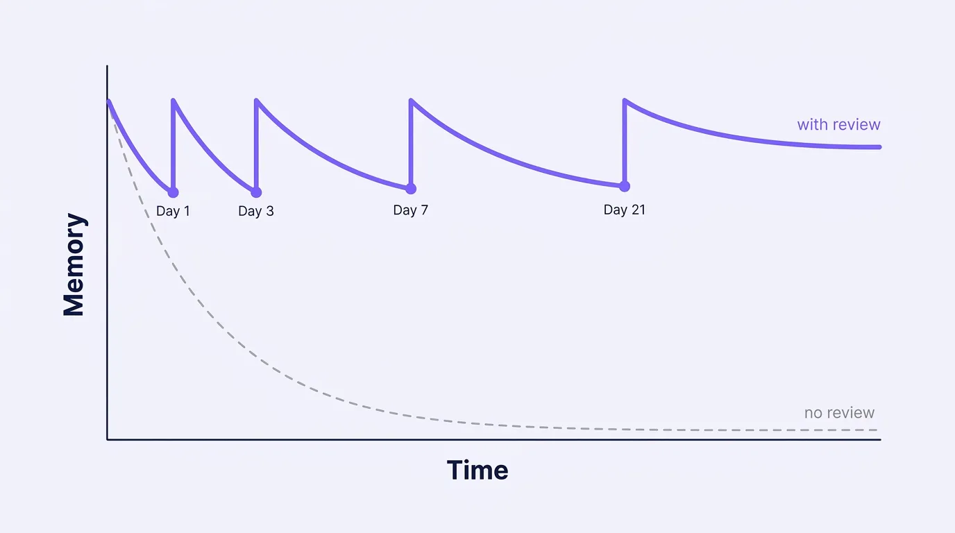 Memory chart: without review the curve drops fast, with reviews on days 1, 3, 7 and 21 it stays high