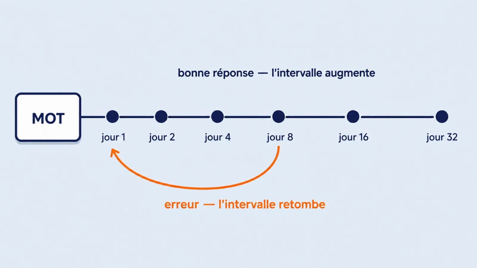 growing review intervals