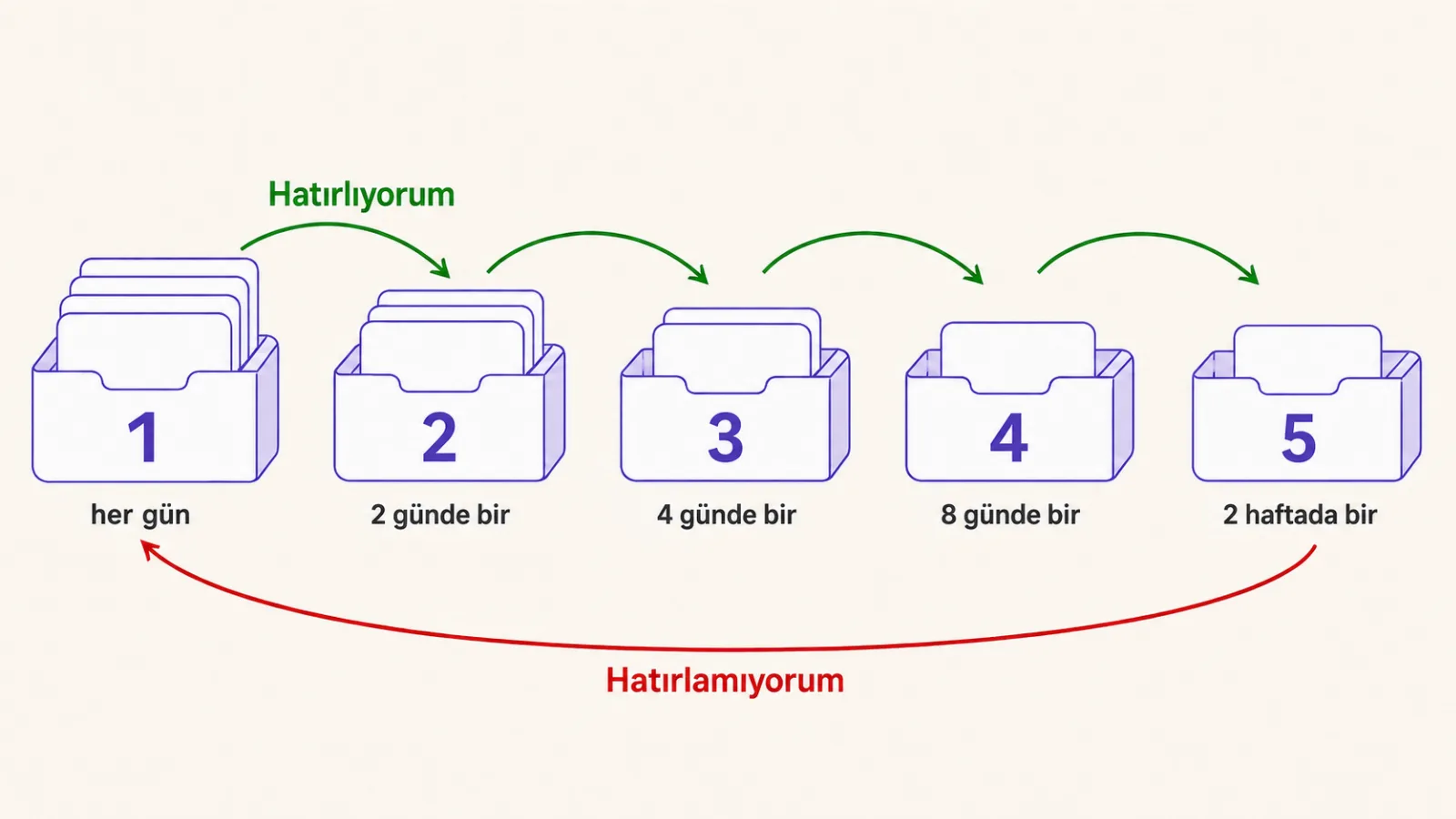 Leitner sistemi: tekrar aralıklarıyla beş bölme