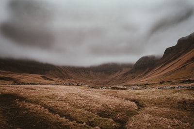 Wilderness — nature sauvage