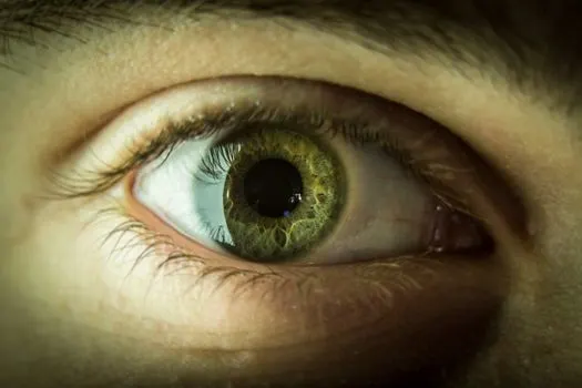 Глаза — Eyes