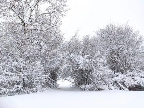 nevoso — Snowy