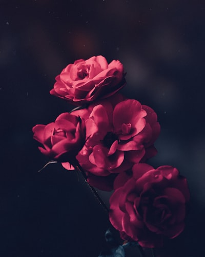charmant — lovely