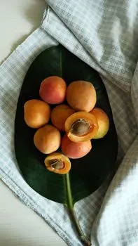 абрикос — apricot
