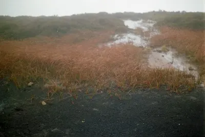 Болотистый — Boggy