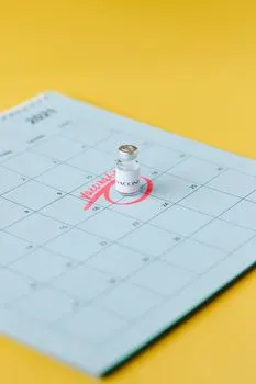 Moram na kontrolu za mesec dana — Devo fare un controllo tra un mese