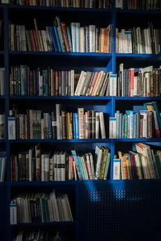 bibliothèque — Bibliothek