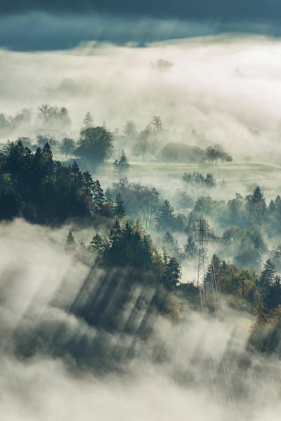matin brumeux — Misty morning