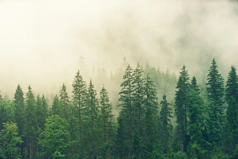 wilderness — nature sauvage