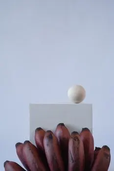 okruglo — round