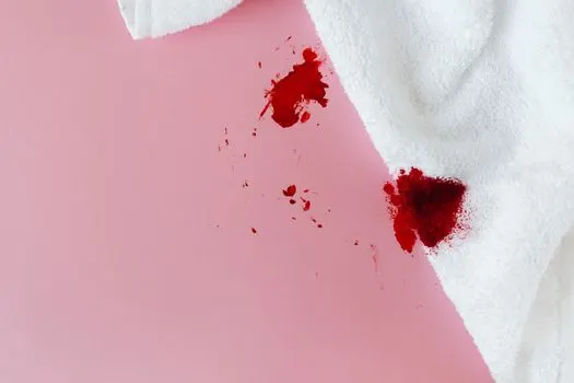 Впитайте — Soak up