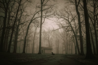 hanté — haunted