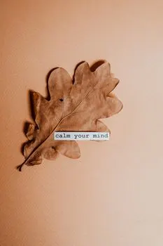 обратить внимание — To notice