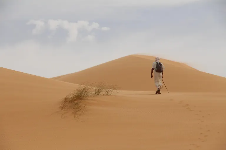 wanderer — vagabond