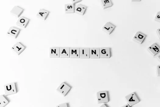 называемый — dubbed