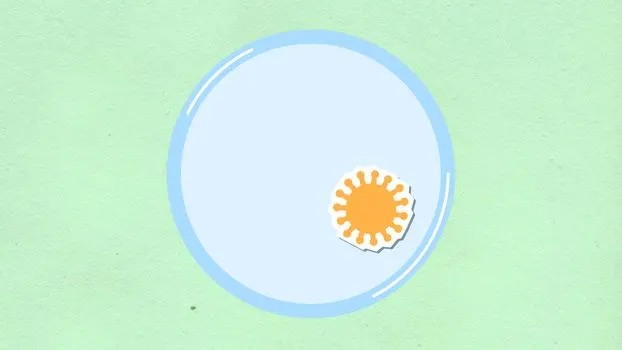 щечные клетки — Buccal cells