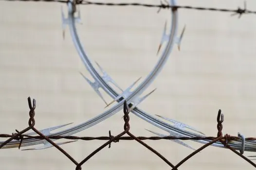 Колючие — barbed