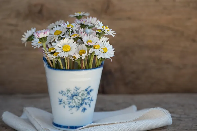 vase — vase