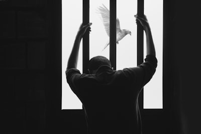 incarcération — Incarceration