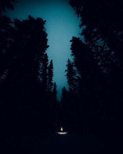 Hondo — deep