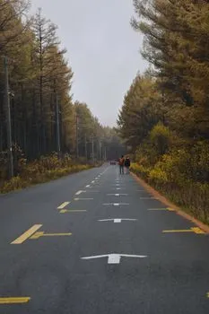 Прогулки — caminatas