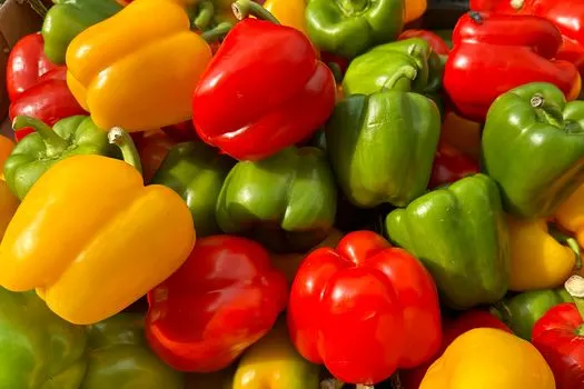 Paprika — pimento