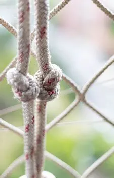 зажатый между — wedged between